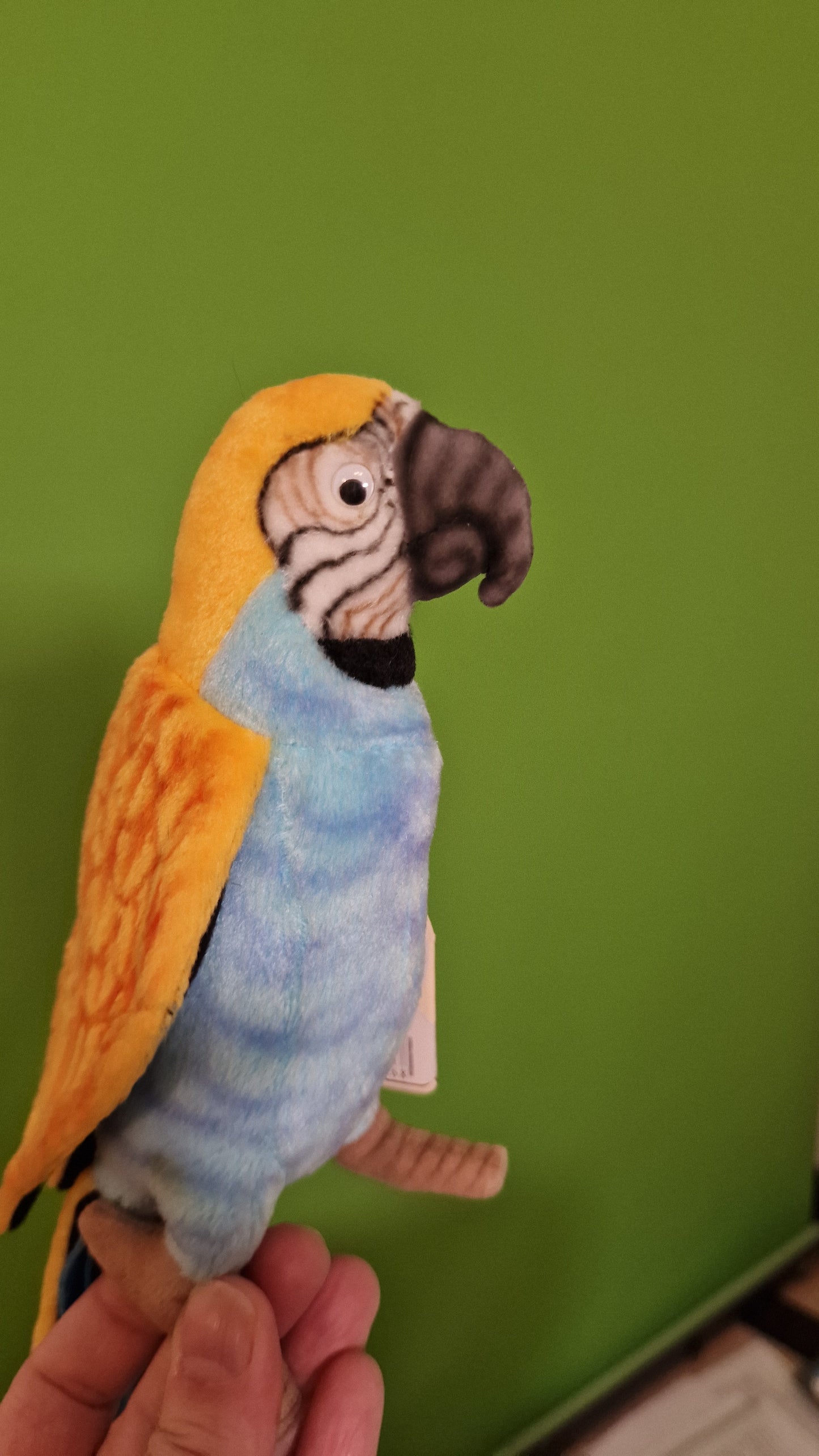 Papużka falista – realistyczna maskotka 15 cm | Prezent dla dzieci