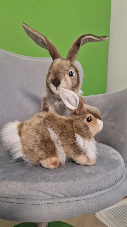 Zając 25-30 cm – realistyczna maskotka, wyjątkowy prezent