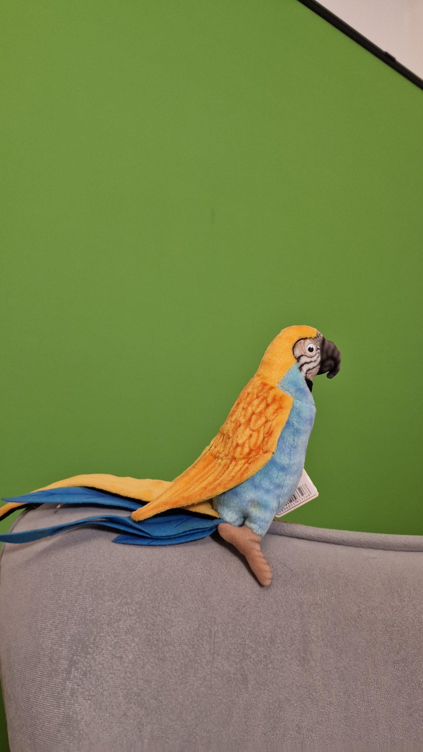 Papużka falista – realistyczna maskotka 15 cm | Prezent dla dzieci