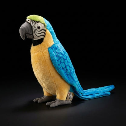 Papuga duża – realistyczna maskotka, wyjątkowy prezent