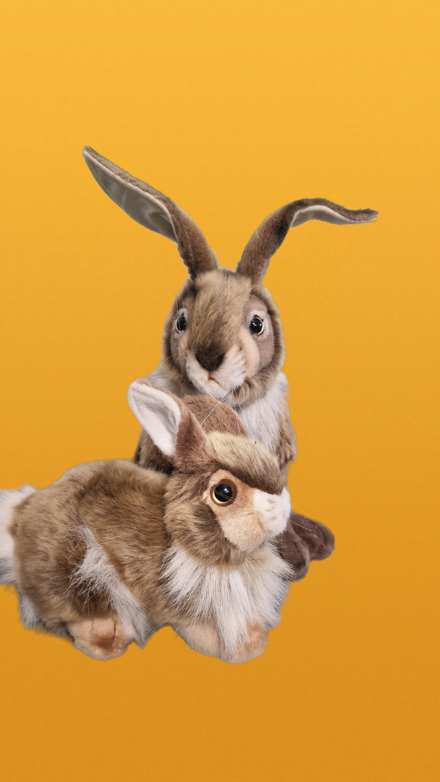 Zając 25-30 cm – realistyczna maskotka, wyjątkowy prezent