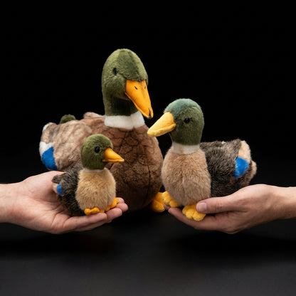 Kaczka duża – realistyczna maskotka, wyjątkowy prezent