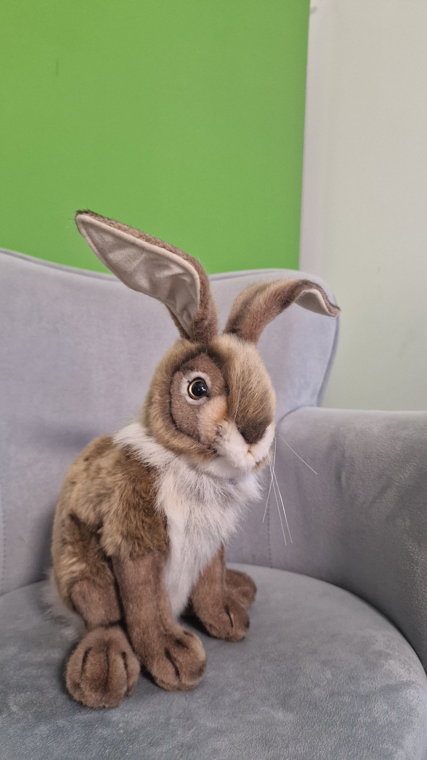 Zając 25-30 cm – realistyczna maskotka, wyjątkowy prezent