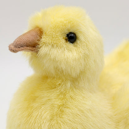 🐥 Pisklę dzikiej kaczki – realistyczna maskotka z kolekcji Hansa Toy 12 cm