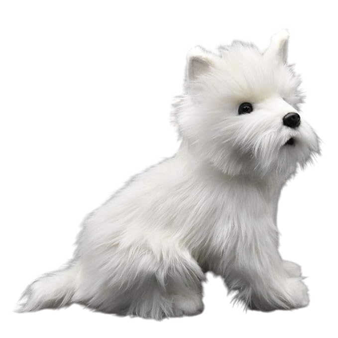 West Highland White Terrier - Szczeniak