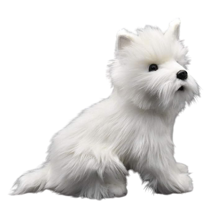 West Highland White Terrier - Szczeniak