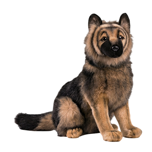 Owczarek niemiecki krótkowłosy -  Szczeniak