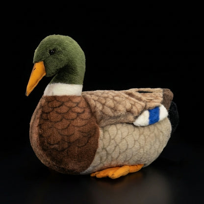Kaczka duża – realistyczna maskotka, wyjątkowy prezent
