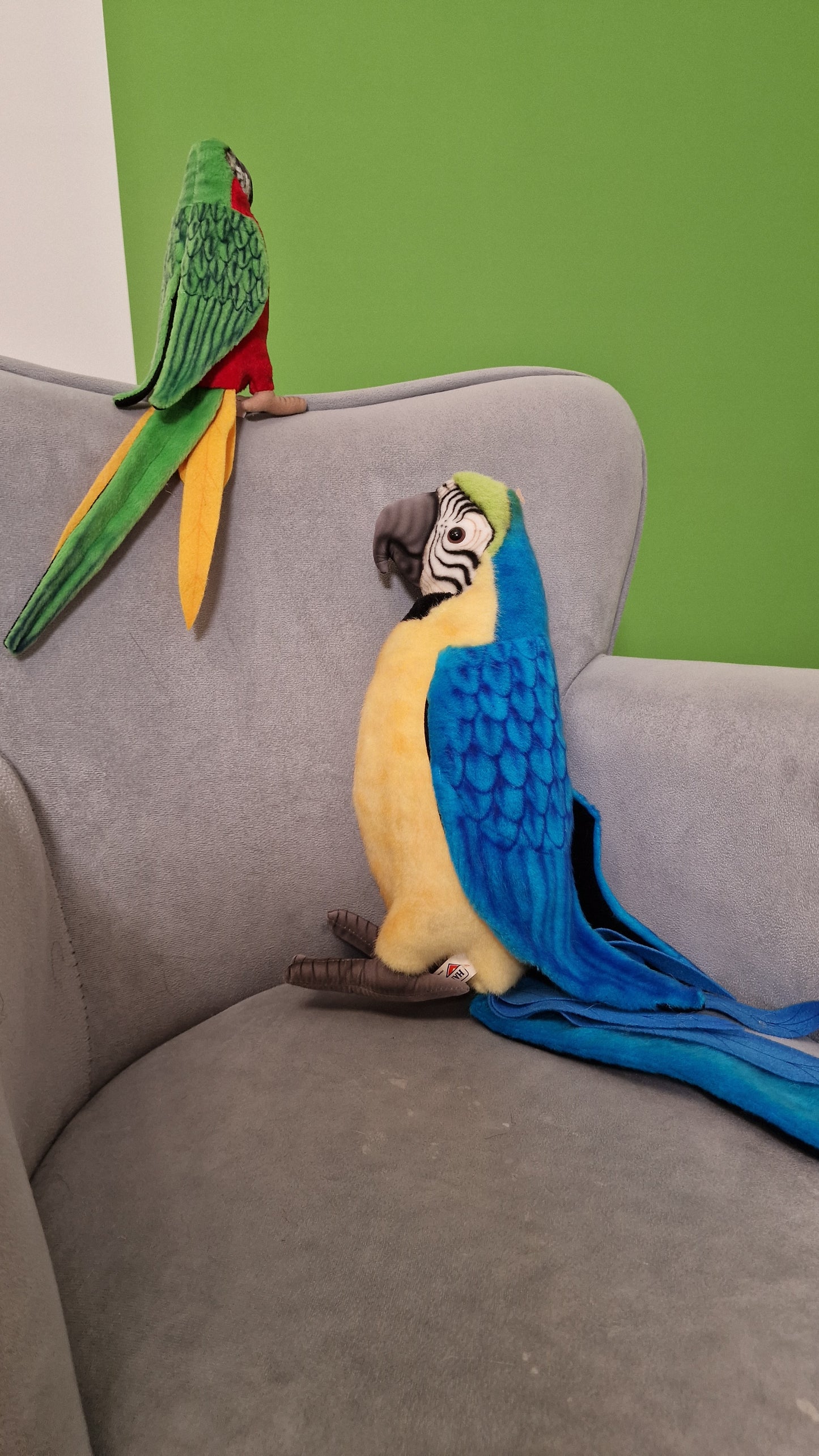 Papuga duża – realistyczna maskotka, wyjątkowy prezent