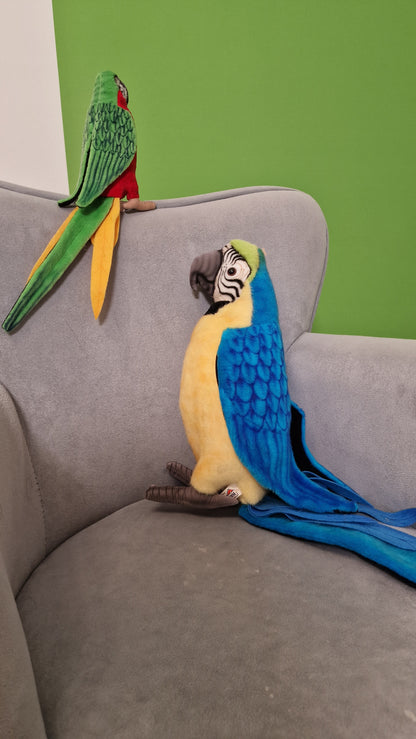 Papuga duża – realistyczna maskotka, wyjątkowy prezent