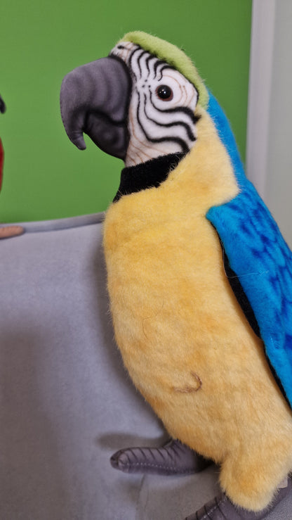 Papuga duża – realistyczna maskotka, wyjątkowy prezent