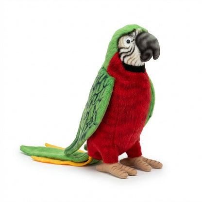 Papuga duża – realistyczna maskotka, wyjątkowy prezent