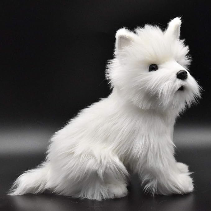 West Highland White Terrier - Szczeniak