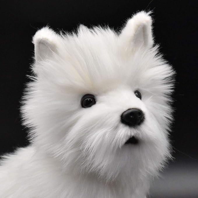 West Highland White Terrier - Szczeniak