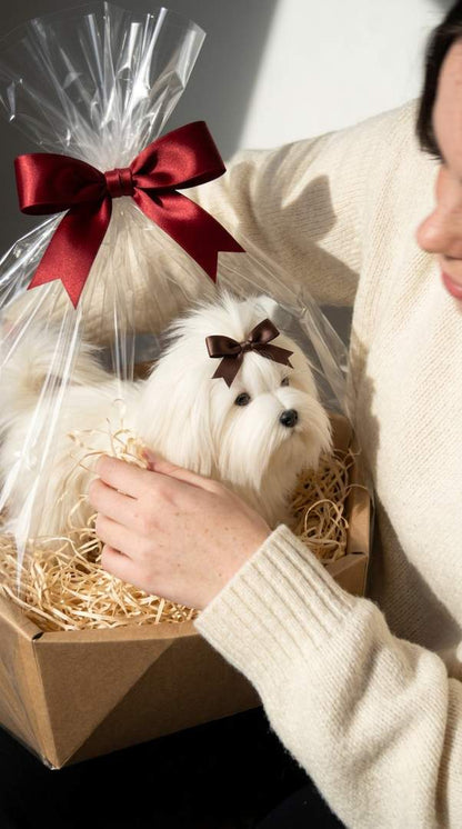 Pies Darwina maskotka jak Shih Tzu