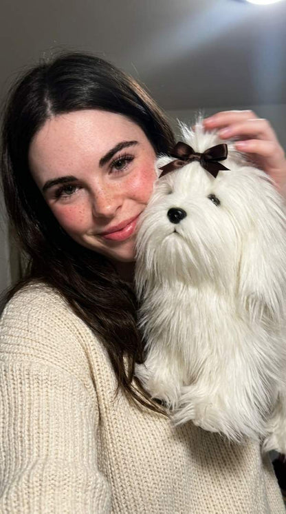 Pies Darwina maskotka jak Shih Tzu