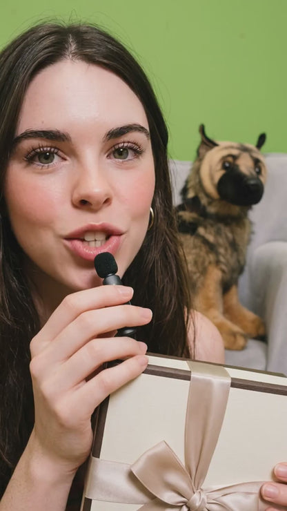 West Highland White Terrier - Szczeniak