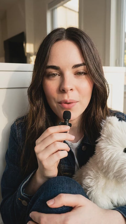 West Highland White Terrier - Szczeniak